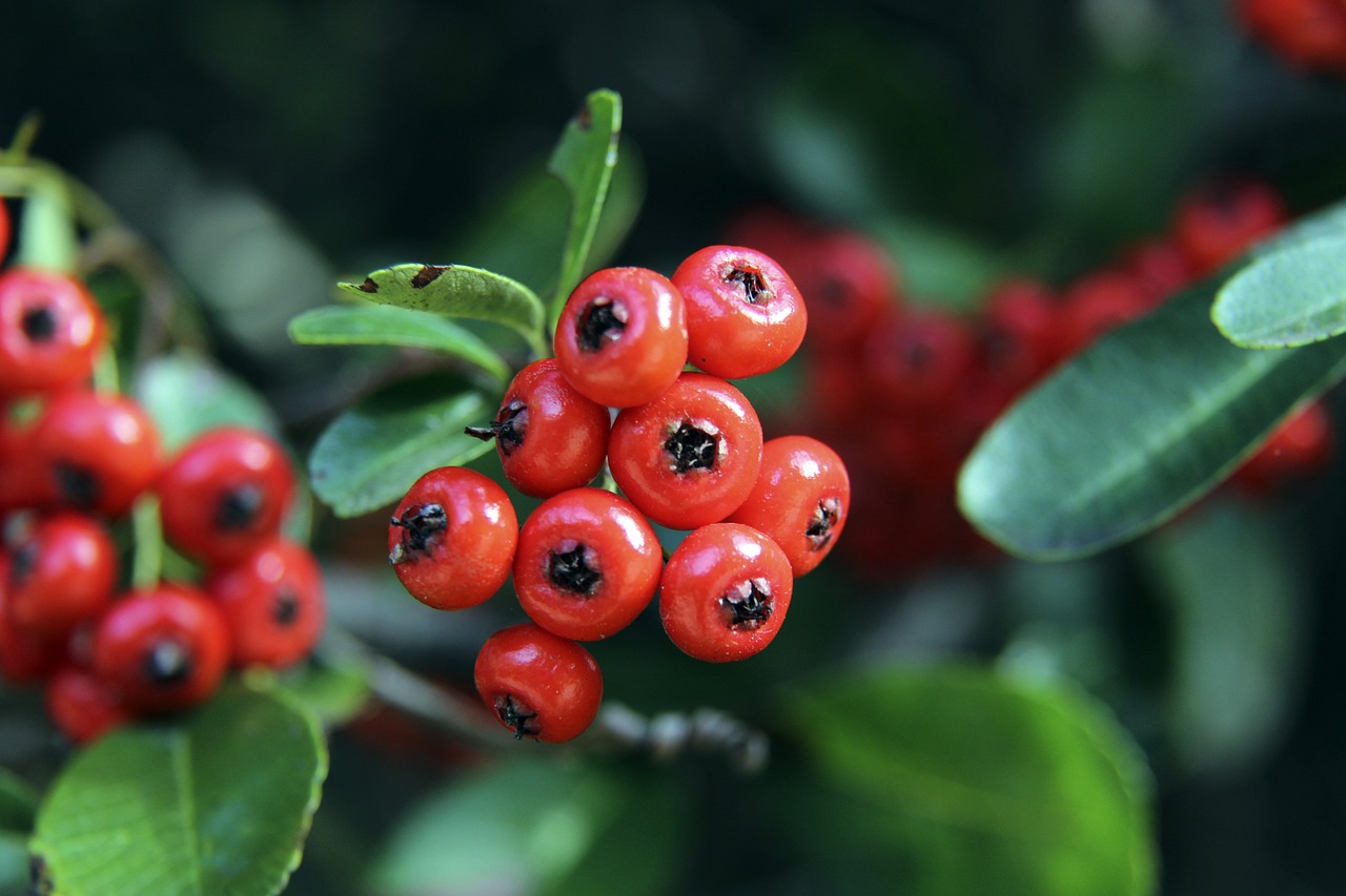 收视奇迹 收视奇迹