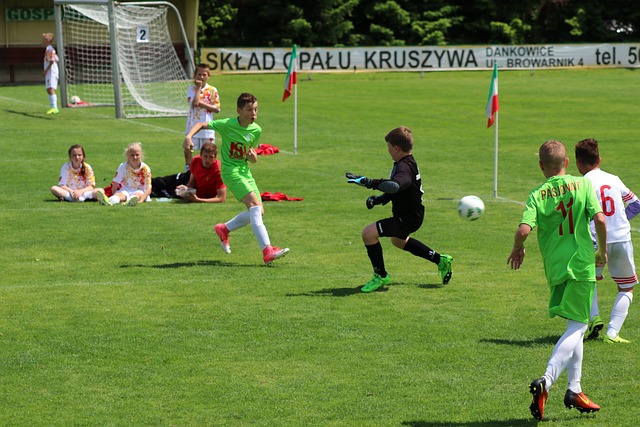 在各大竞技 在各大竞技