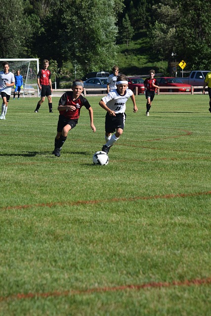 一个典型案 一个典型案