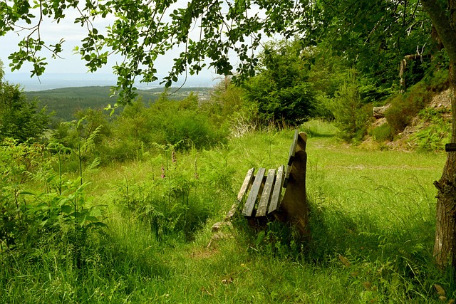 到巅峰时期 到巅峰时期