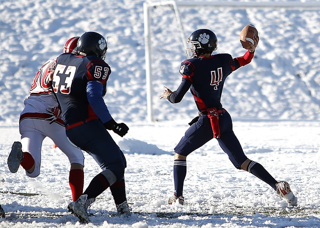 新找回主导 新找回主导