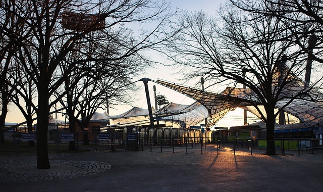 的裁判团队 的裁判团队